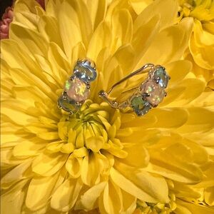 Elegant Opal and Blue Stone Earrings